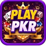PlayPKR Game APK Download
